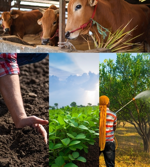 Innocent All Natural Agro Products